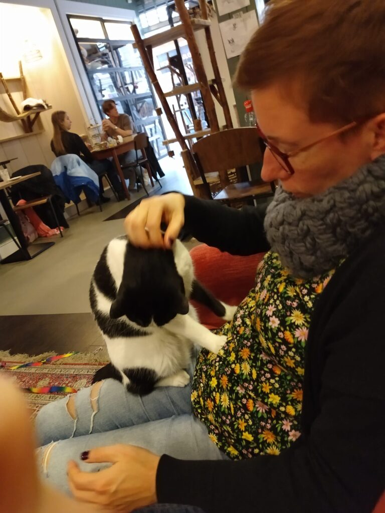 Kattenliefde in de leukste huiskamer van Leiden