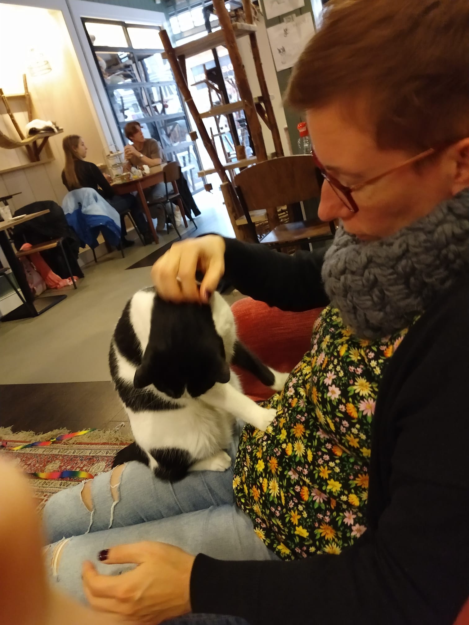 Kattenliefde in de leukste huiskamer van Leiden